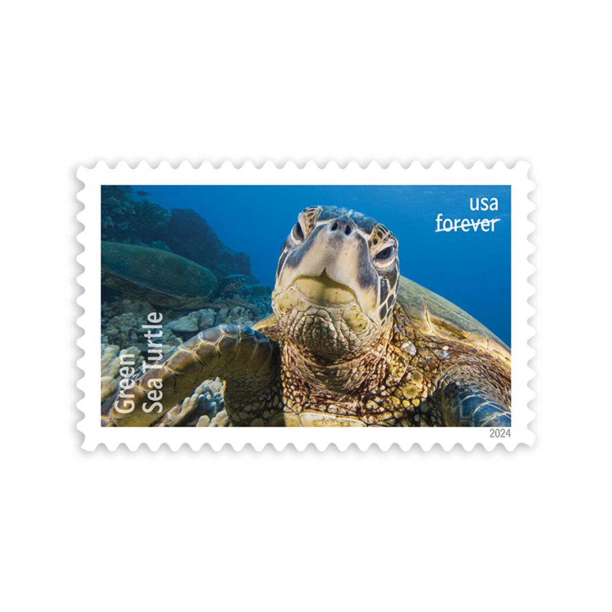 2024 Protect Sea Turtles Stamps